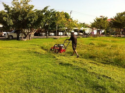 รถตัดหญ้า 2 ล้อจักรยาน ล้อยางตัน พร้อมอะไหล่ ติดตั้งเครื่องยนต์